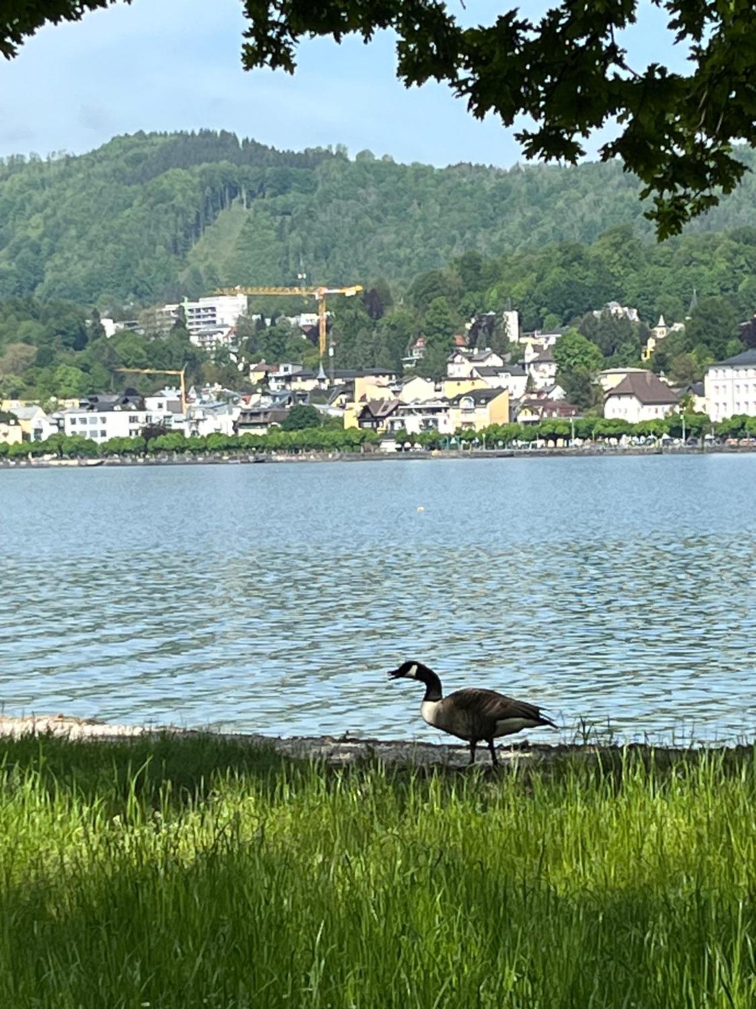 Altstadtjuwel In Gmunden Am Traunsee Exterior foto